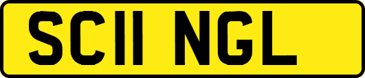 SC11NGL