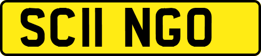 SC11NGO