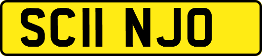 SC11NJO