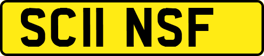 SC11NSF