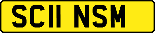 SC11NSM