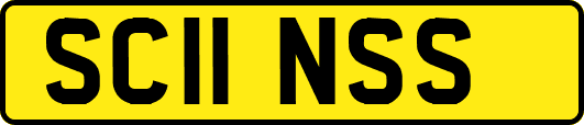 SC11NSS