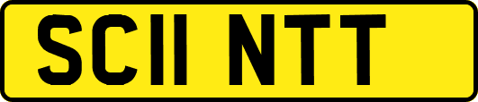 SC11NTT