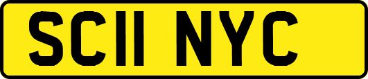SC11NYC