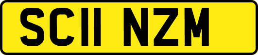 SC11NZM
