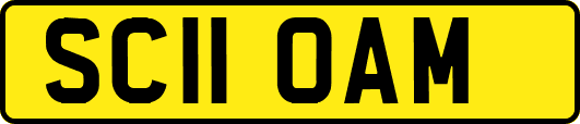 SC11OAM