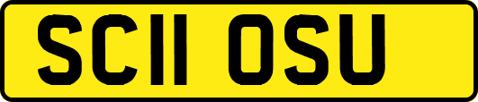 SC11OSU