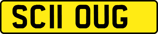 SC11OUG