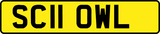 SC11OWL