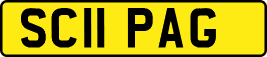 SC11PAG