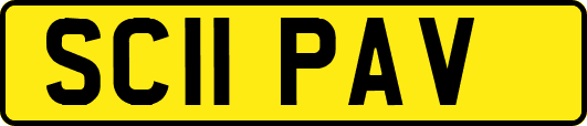 SC11PAV