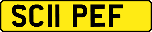 SC11PEF