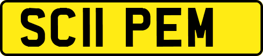SC11PEM