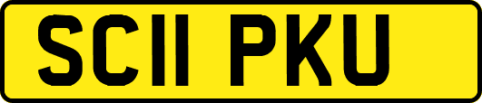 SC11PKU