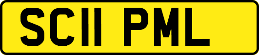 SC11PML