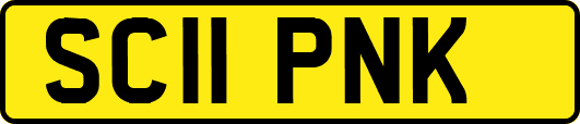 SC11PNK