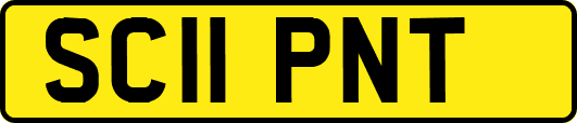 SC11PNT