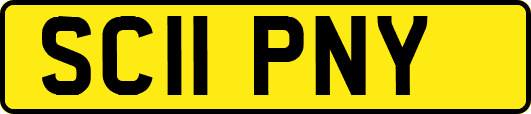 SC11PNY