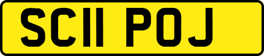 SC11POJ