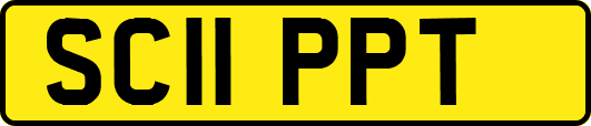 SC11PPT