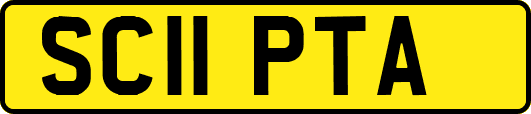 SC11PTA