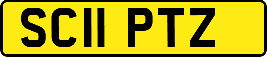 SC11PTZ