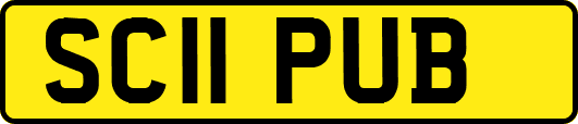 SC11PUB