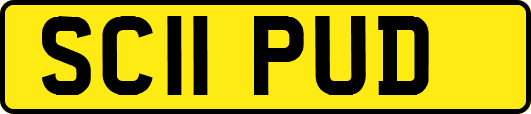 SC11PUD
