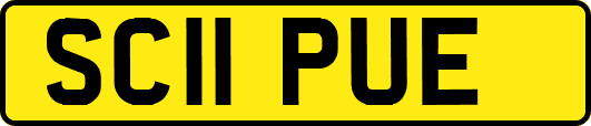SC11PUE