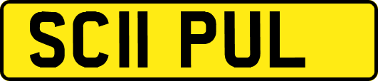SC11PUL