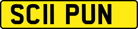 SC11PUN