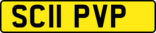 SC11PVP