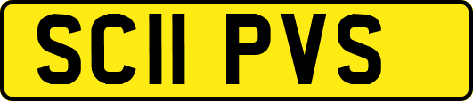 SC11PVS