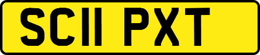 SC11PXT