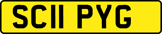 SC11PYG