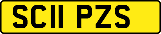 SC11PZS