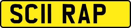 SC11RAP