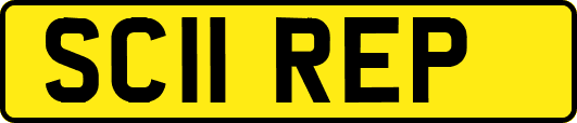 SC11REP