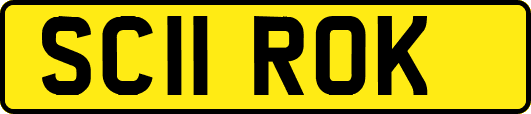 SC11ROK