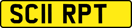 SC11RPT