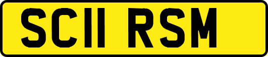 SC11RSM