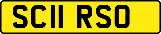 SC11RSO