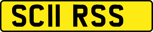 SC11RSS