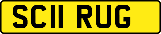 SC11RUG