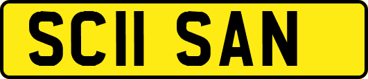SC11SAN