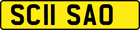 SC11SAO