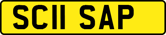 SC11SAP