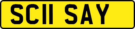 SC11SAY