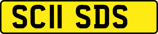 SC11SDS
