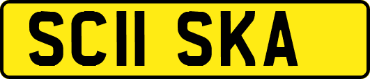 SC11SKA